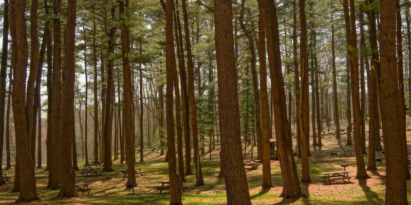 恒合教育16850：深耕职业技能与K12辅导，打造综合性培训新标杆