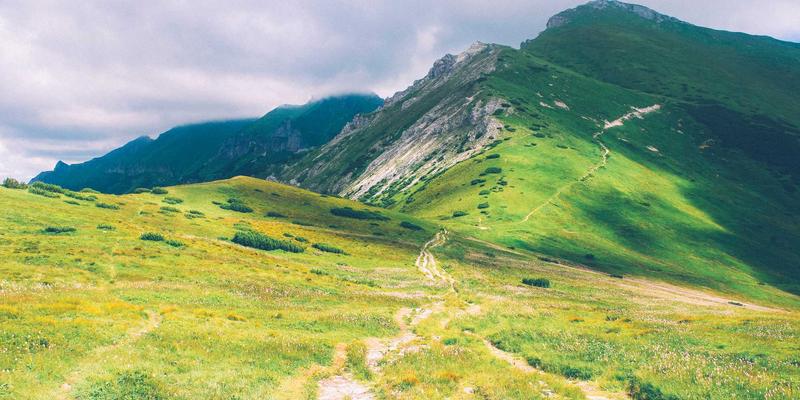 恒合教育16884:打造多维赋能的教育培训新生态,构建高效语言学习平台