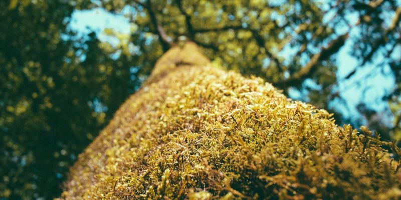 恒合教育168：AI技术如何赋能学习平台与培训机构，实现作文智能批改与写作能力飞跃