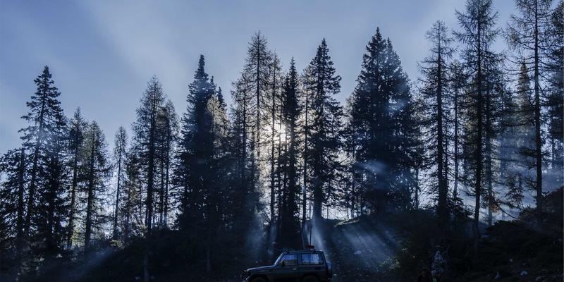 恒合教育168学员成长档案：追踪与分析长期学习效果的秘密武器