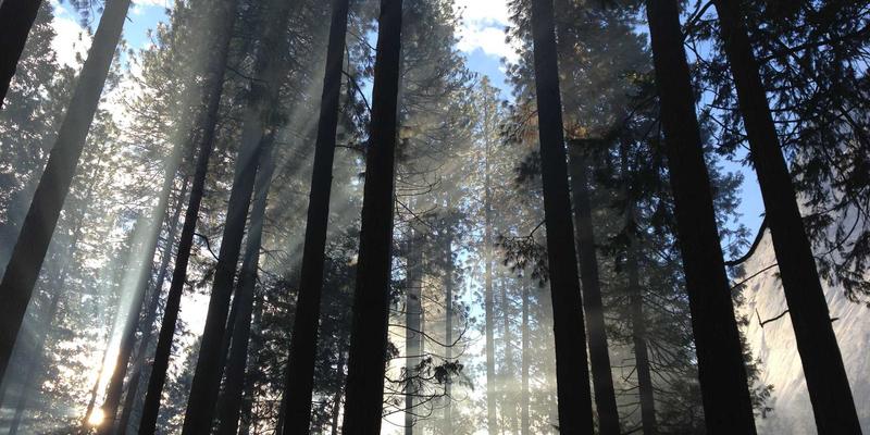 恒合教育168家长课堂：构建高效家校沟通桥梁，解锁孩子语言培训新潜能