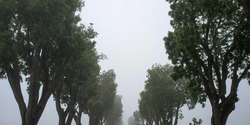 恒合教育168寒假/暑期语言集训营：揭秘短期高强度学习的科学课程信息与平台优势