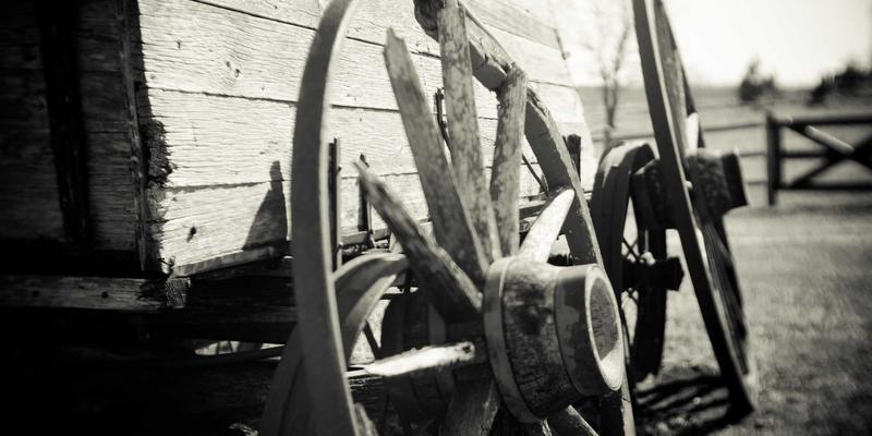 恒合教育168应用：一站式语言与职业技能培训的数字化解决方案