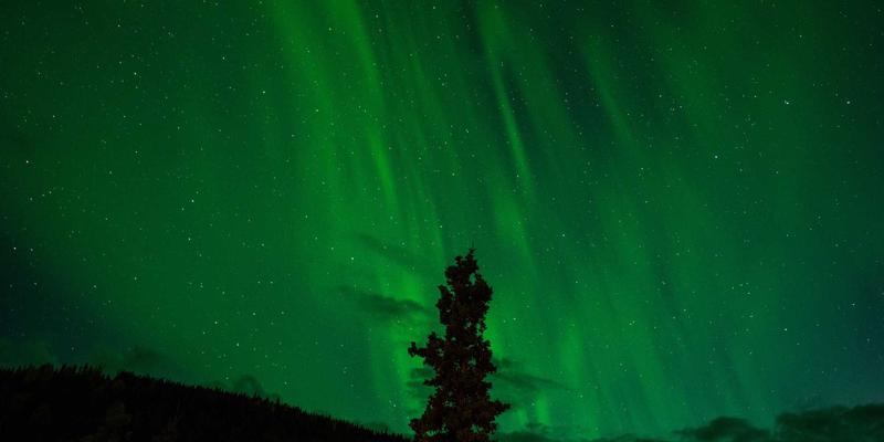 恒合教育168：打造沉浸式语言学习平台，开启高效培训新体验