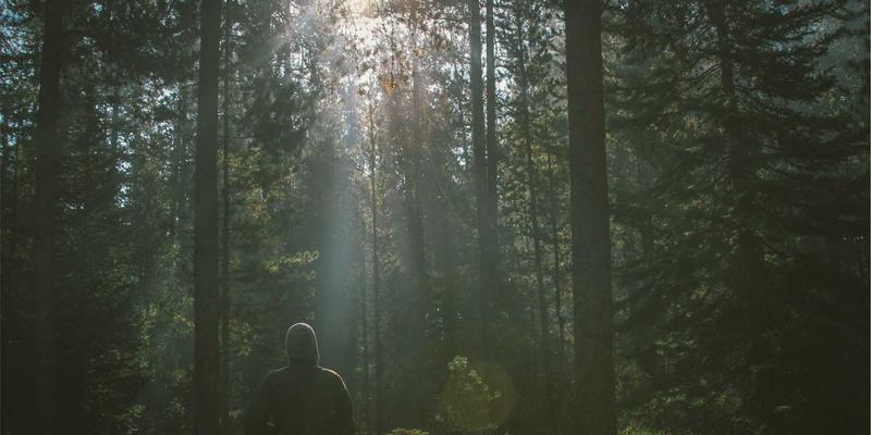 恒合教育168技巧：解锁职业技能与语言培训的新维度